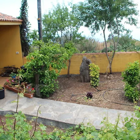 Marantes Puntagorda (La Palma)