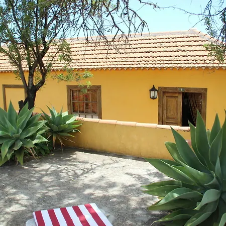 Marantes Puntagorda (La Palma)